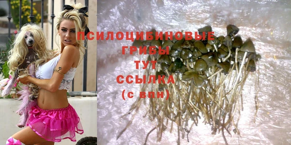 мяу мяу мука Дмитров