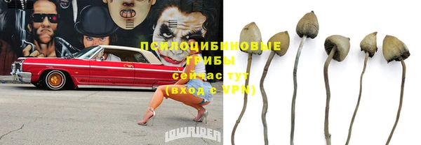 jwh Дмитриев