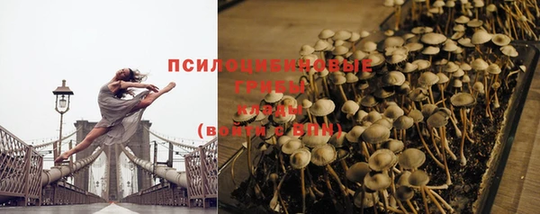 мяу мяу мука Дмитров