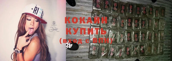 крисы Дмитровск