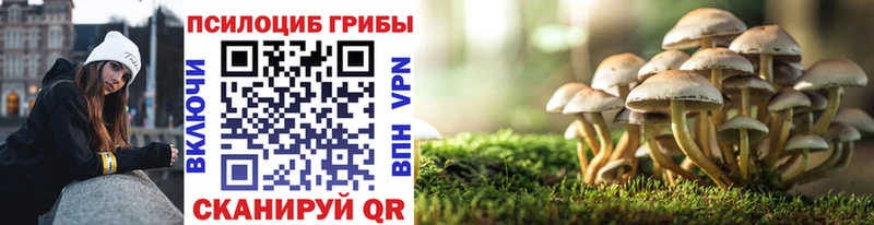 Псилоцибиновые грибы мицелий  Купить где  Салават 